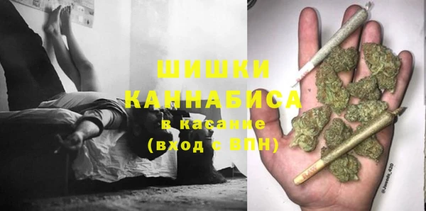 сатива Арсеньев