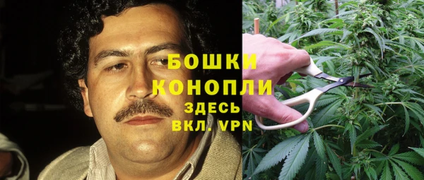 сатива Арсеньев