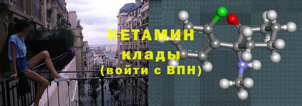 сатива Арсеньев