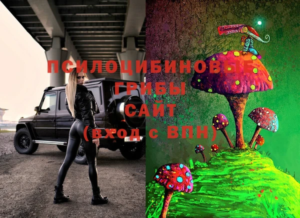 сатива Арсеньев