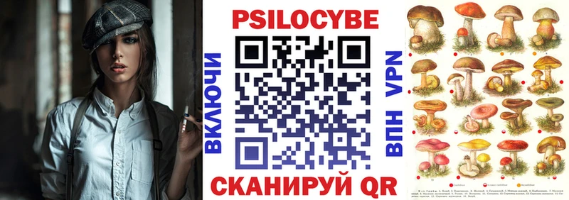 MEGA ссылки  продажа наркотиков  Павловский Посад  Псилоцибиновые грибы мухоморы 