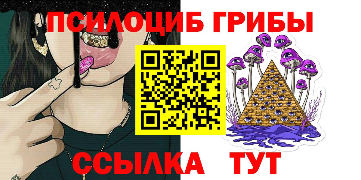 Псилоцибиновые грибы Psilocybe  Вход с VPN  Павловский Посад 